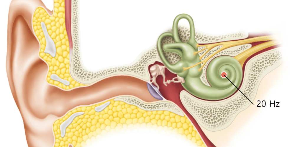 Cochlear and audio frequency