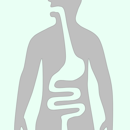 The digestive system viewed from the perspective of topology