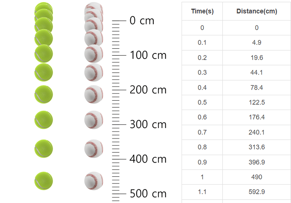 Free Fall Motion Analysis