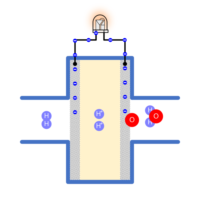 Fuel Cell