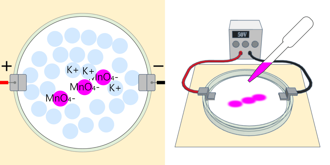 Movement of Ion